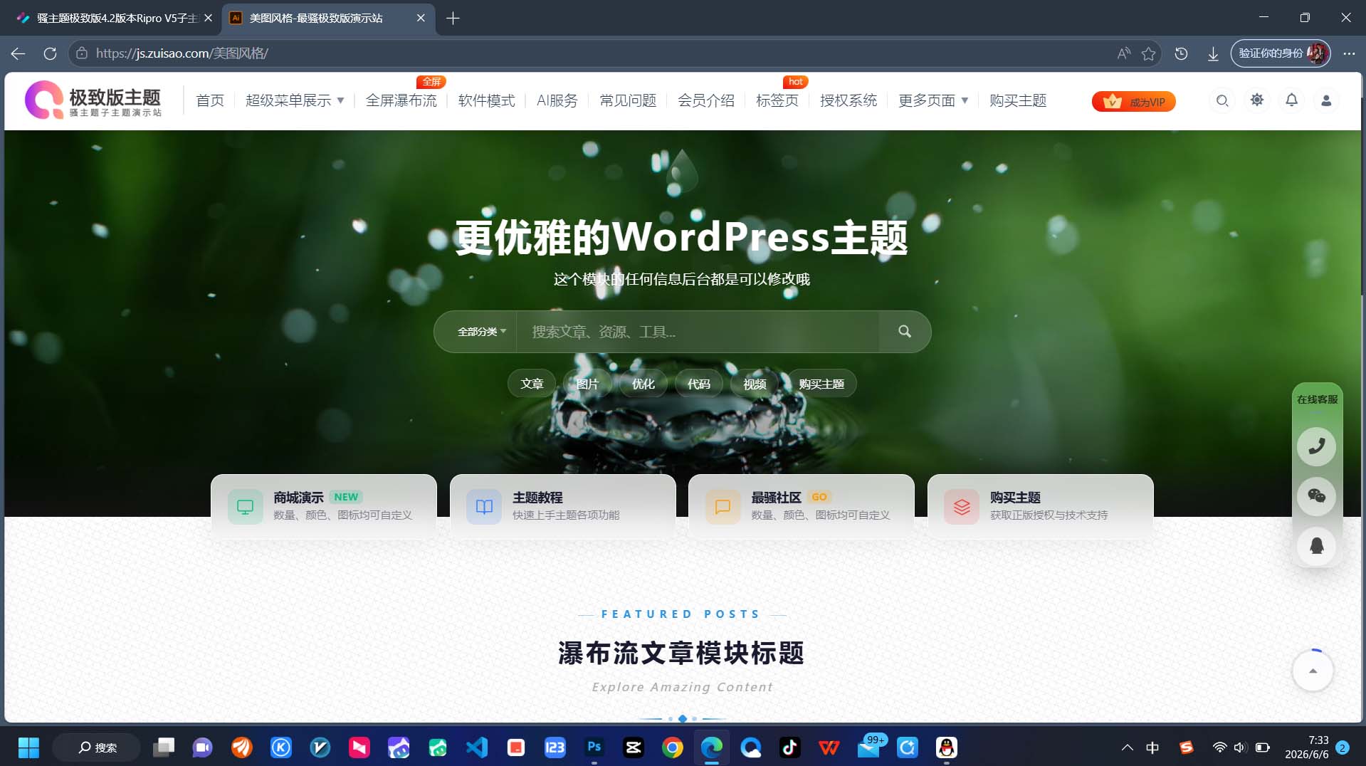 骚主题极致版