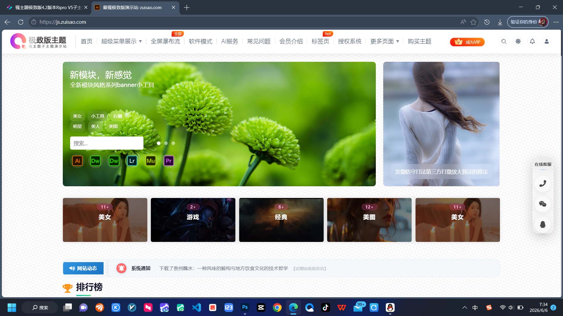 骚主题极致版