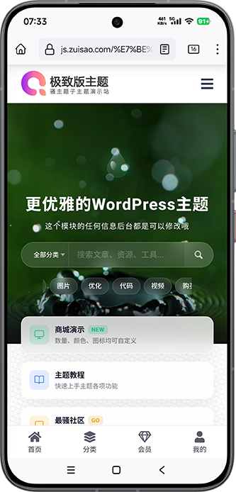 骚主题极致版