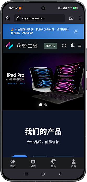 骚主题企业版