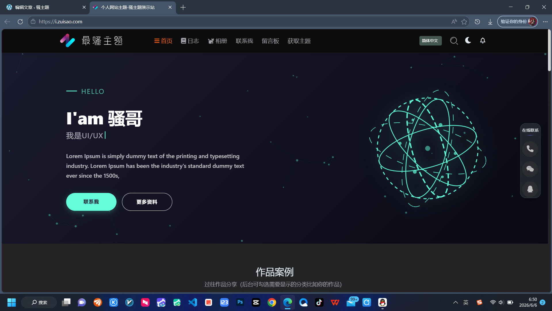 骚主题个人版