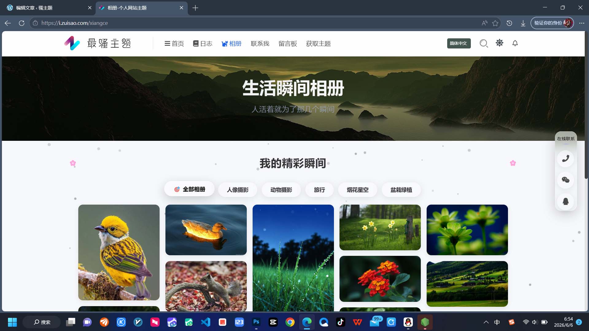 骚主题个人版