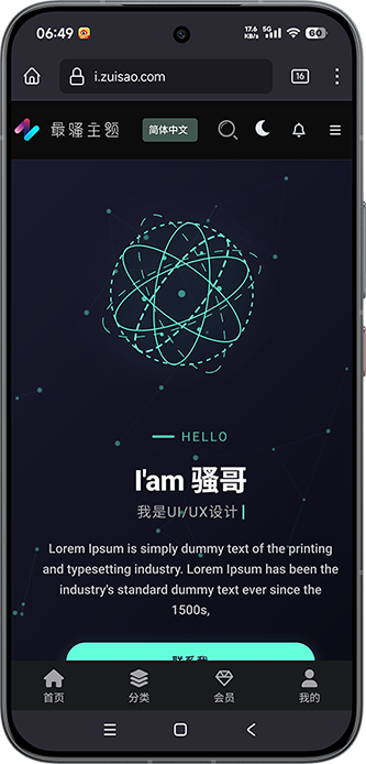 骚主题个人版