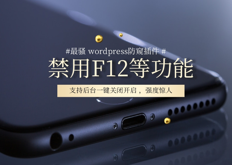 WordPress防小偷插件防F12防各种快捷键最骚插件