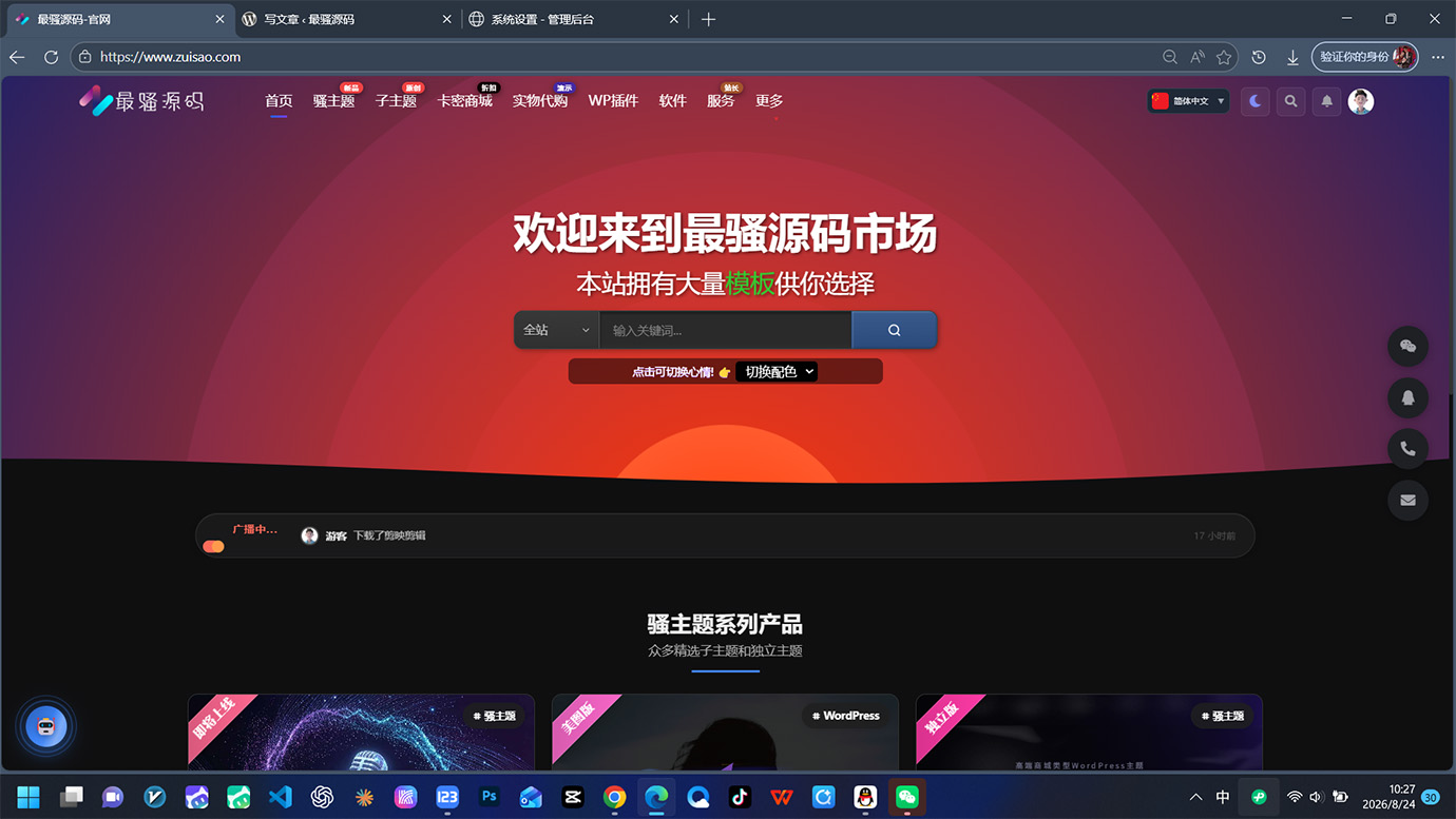 骚主题官网版